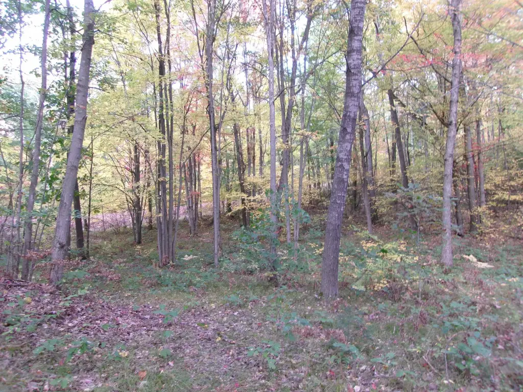 Picture 27
