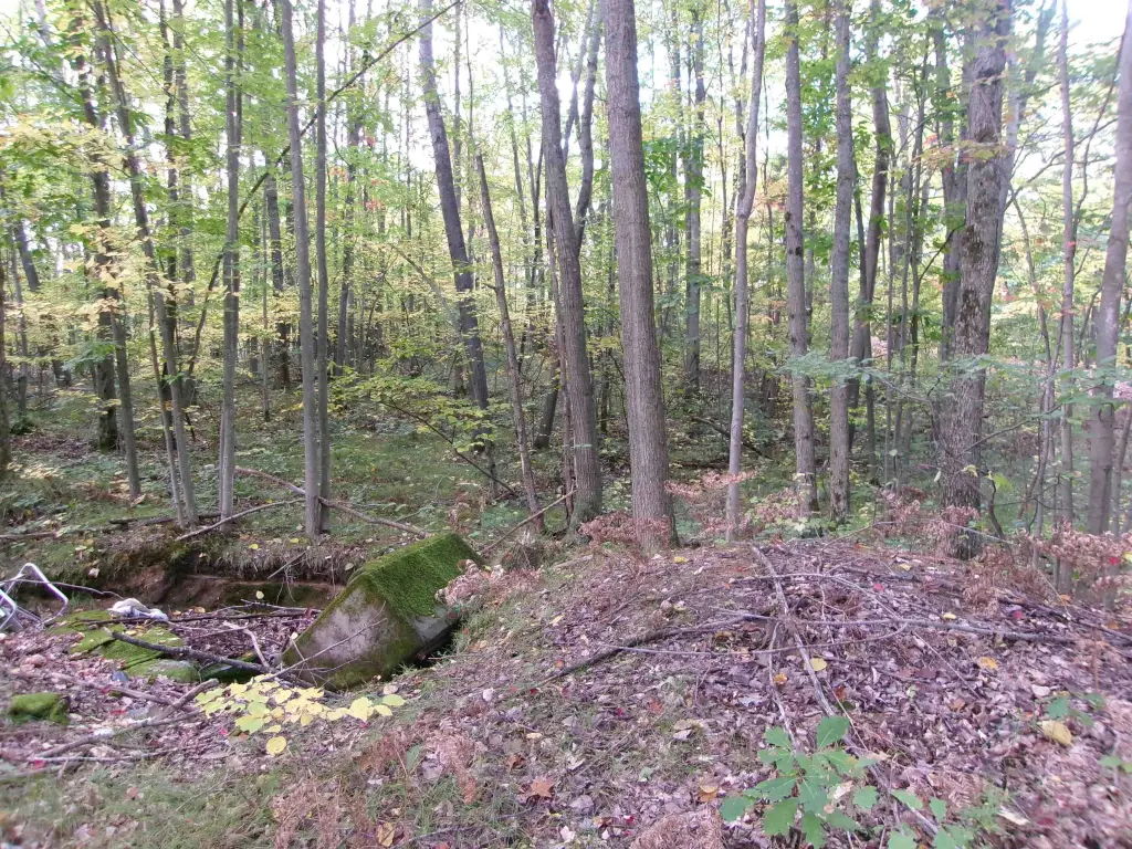 Picture 29
