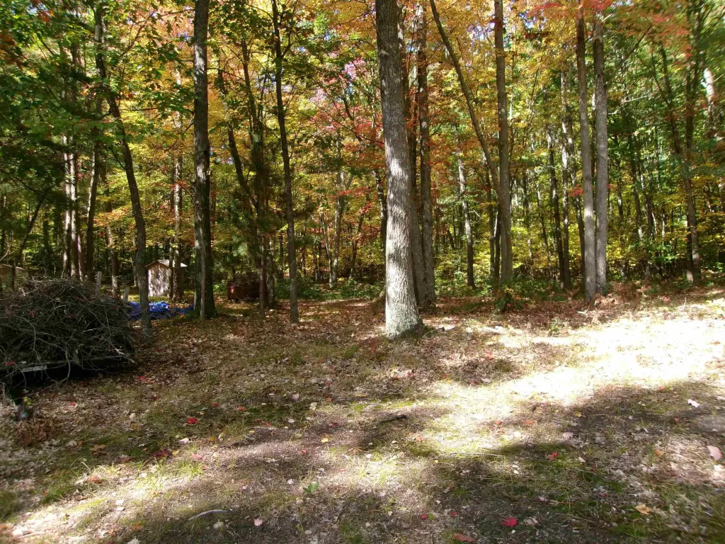 Picture 12