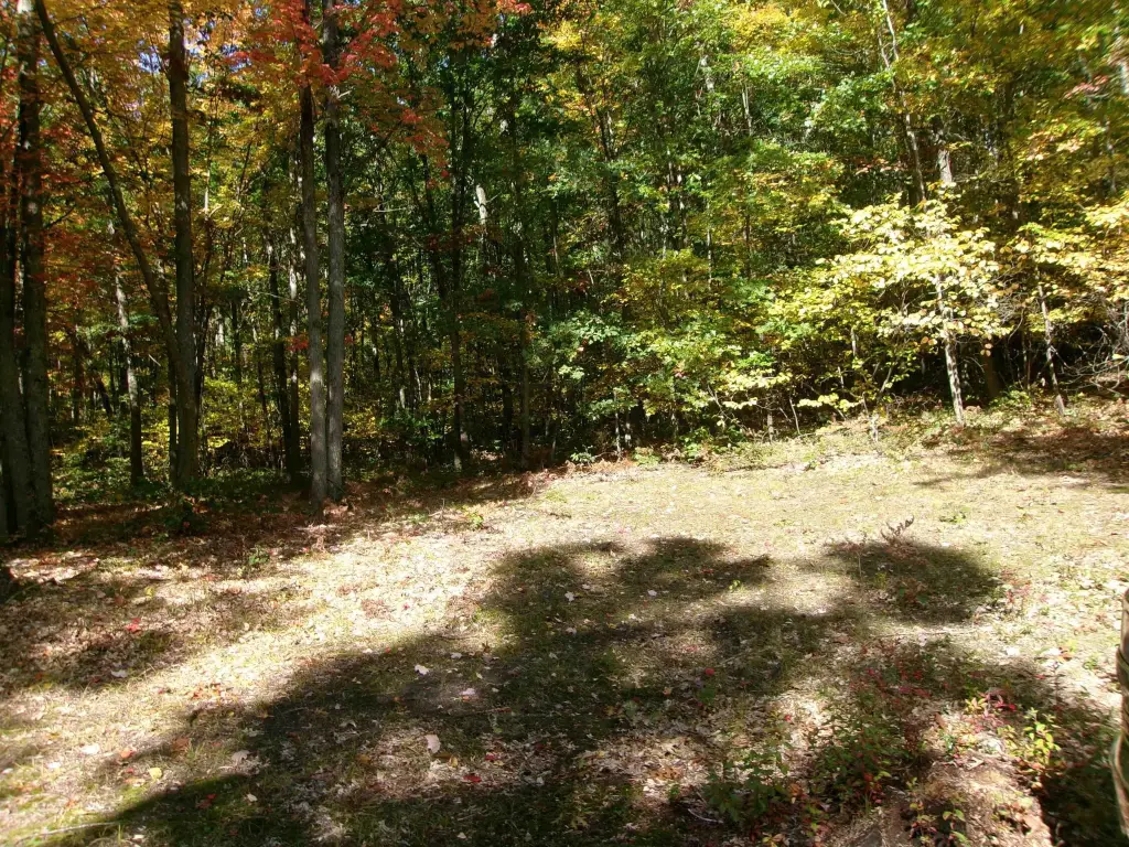 Picture 13