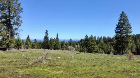 Grangeville Land with Expansive Views