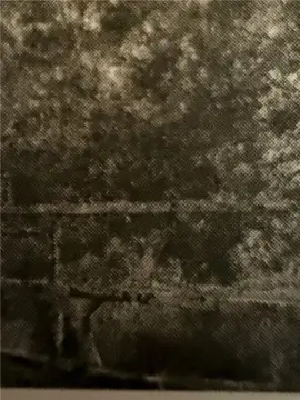 Wooded Land in Realitos, TX