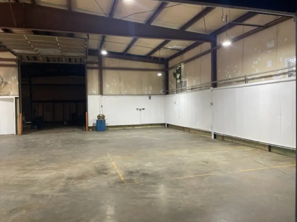 Picture 5