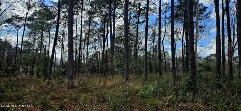 Poplarville Land on Highway 11