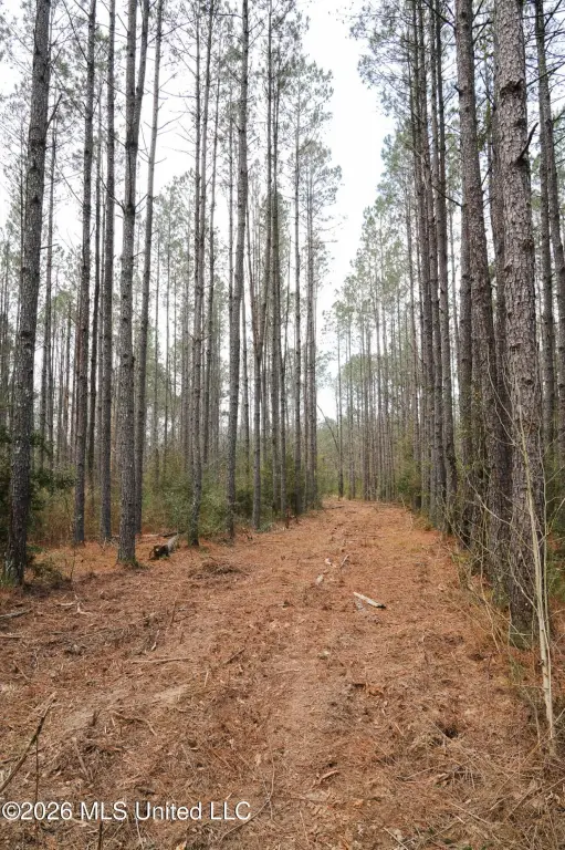 Picture 7