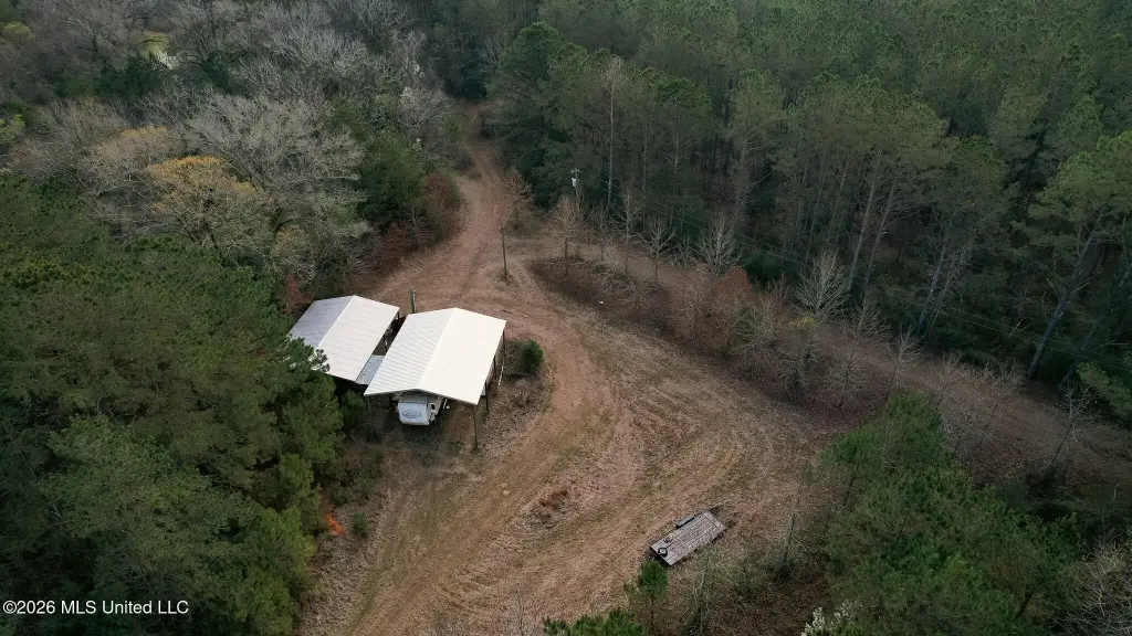 Picture 2