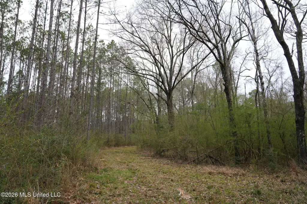Picture 12