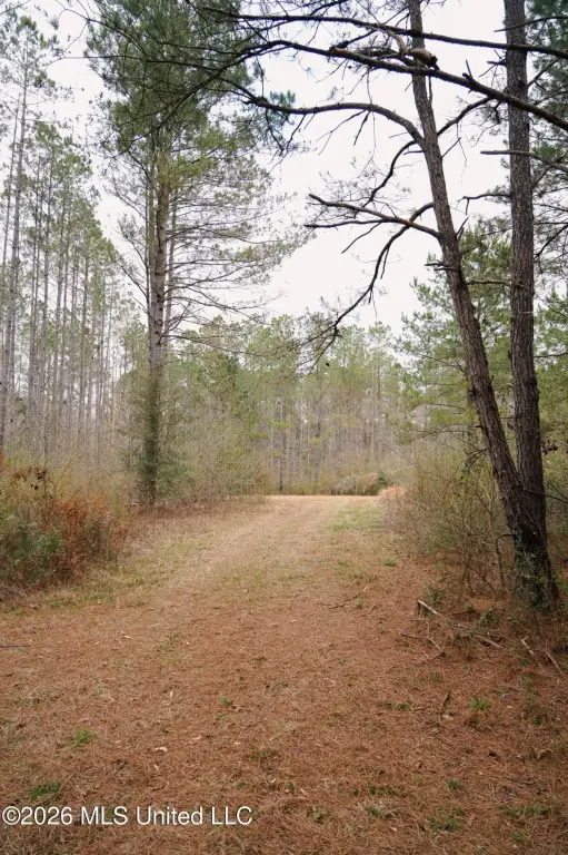Picture 21