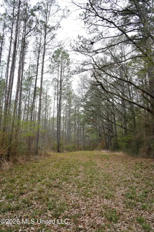Picture 14
