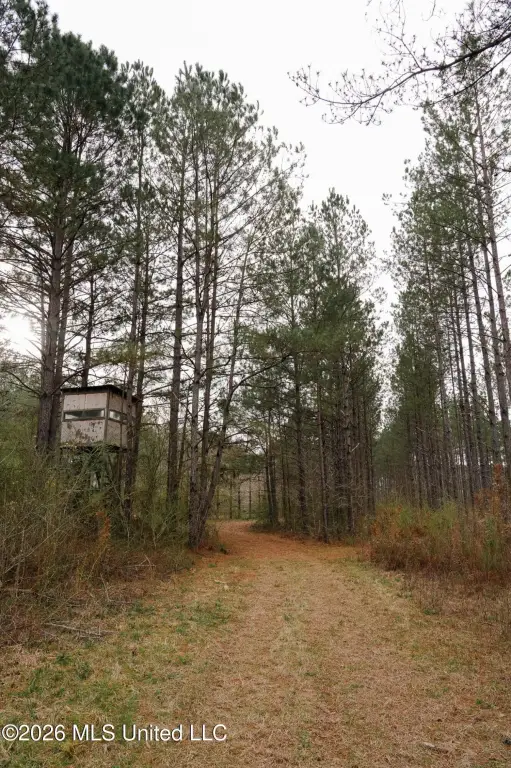 Picture 23