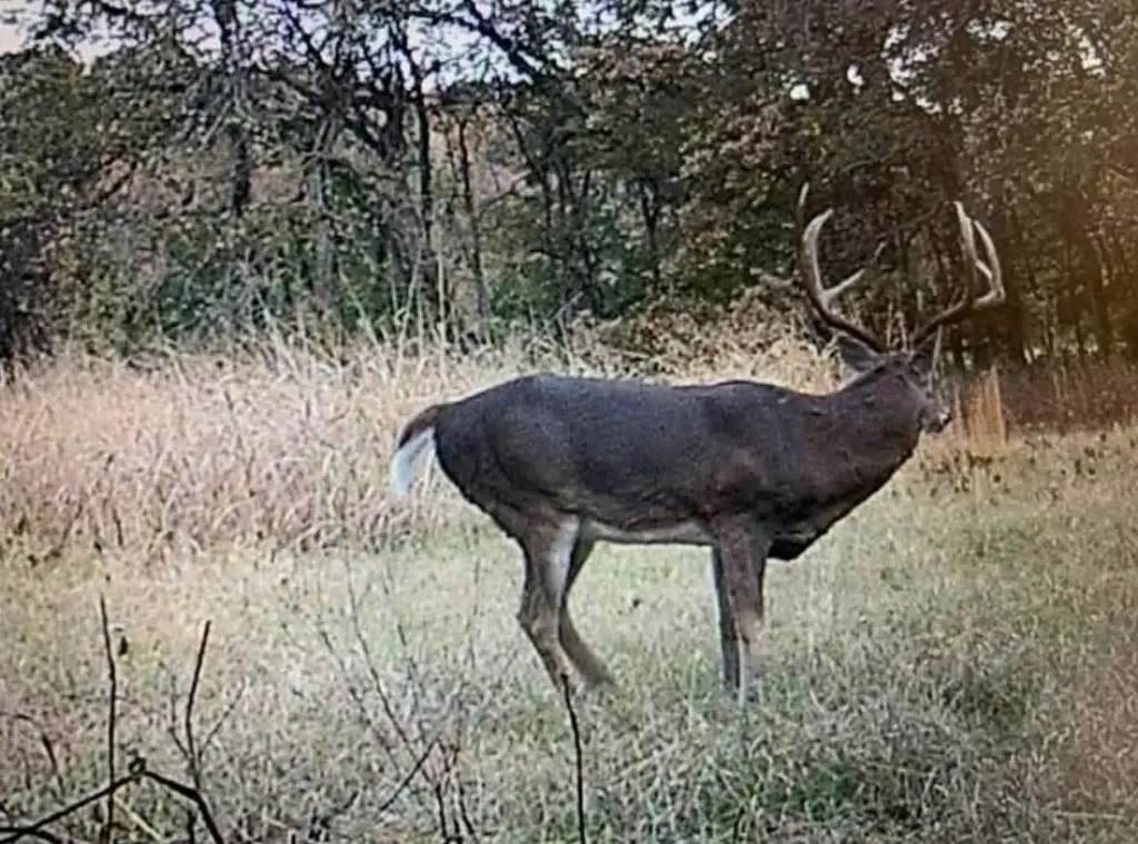 Picture 2