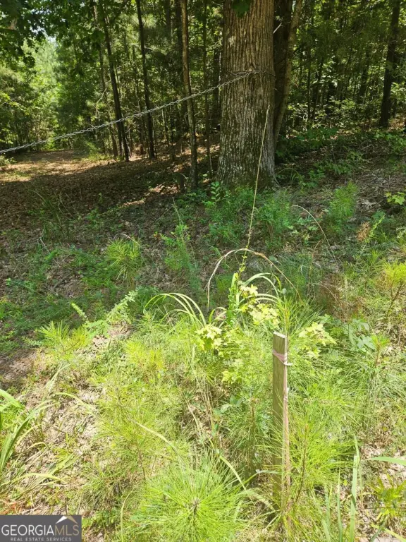Picture 20