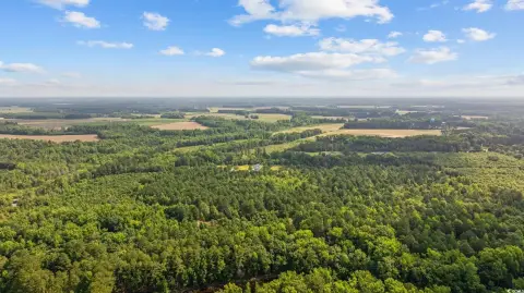 43.93 Acres of Raw Land