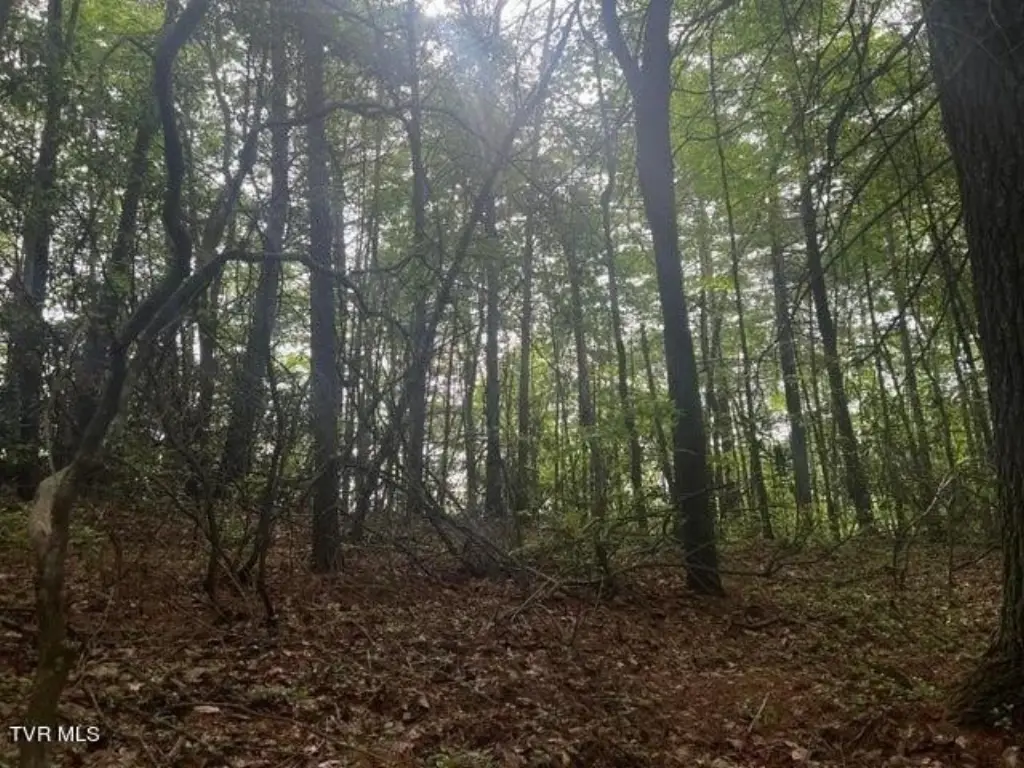 Picture 19