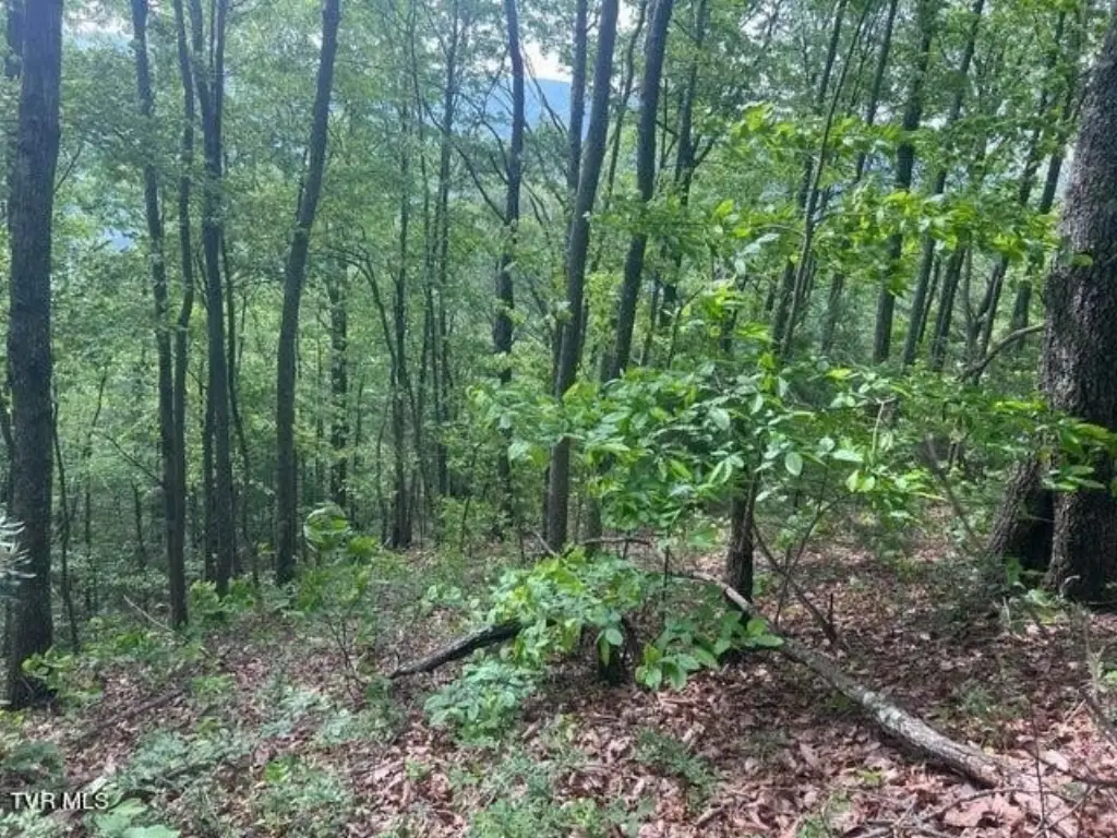 Picture 18