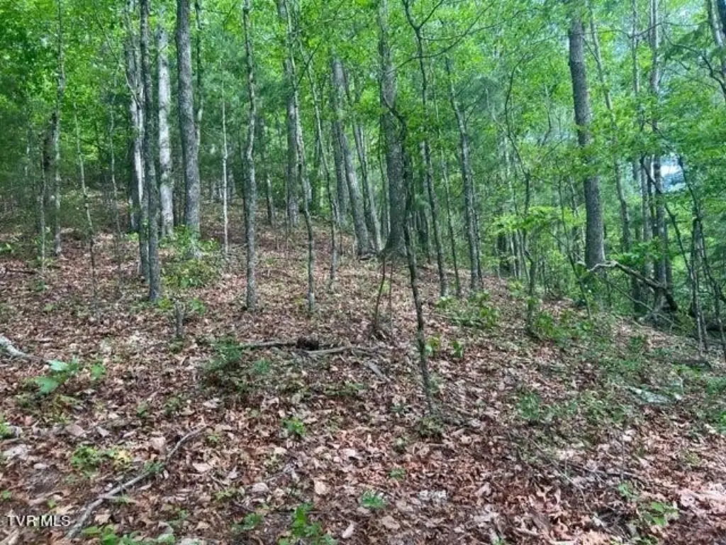 Picture 29