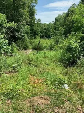 Residential Land in Rocky Mount