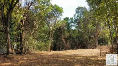 Cleared Land in Henry County