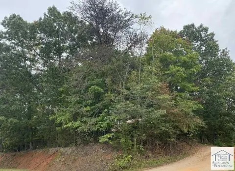 Wooded Lot in Oak Level