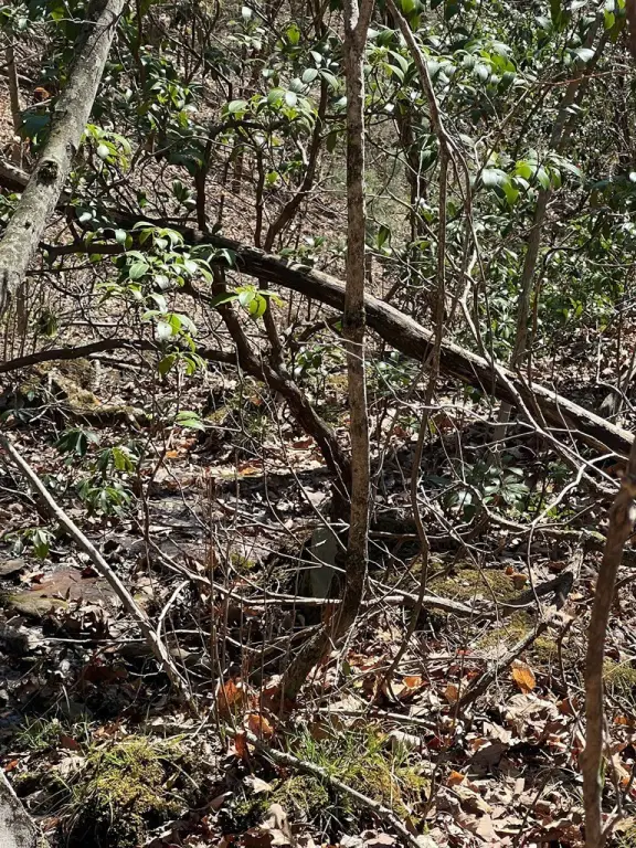 Picture 16