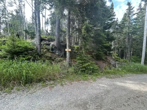 Addison, ME Subdivided Lots