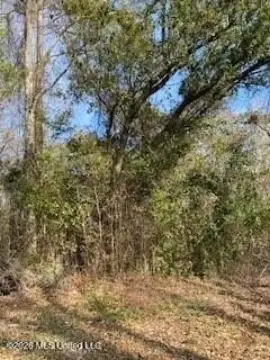 Residential Land in Gulfport, MS