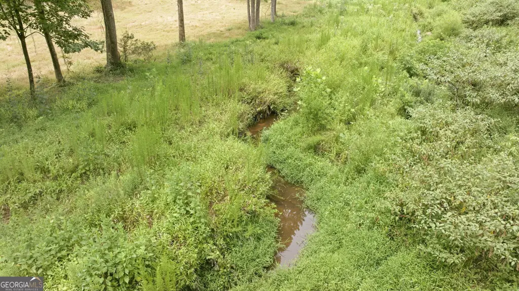 Picture 23