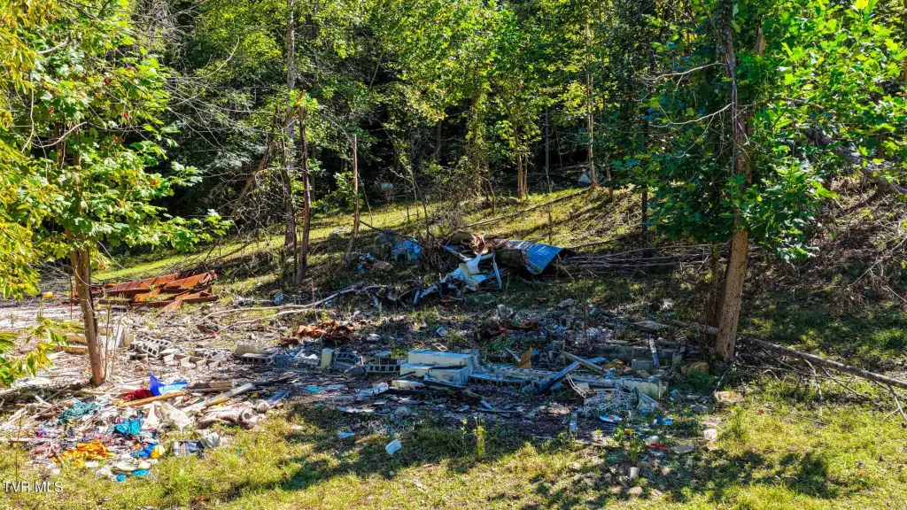 Picture 27