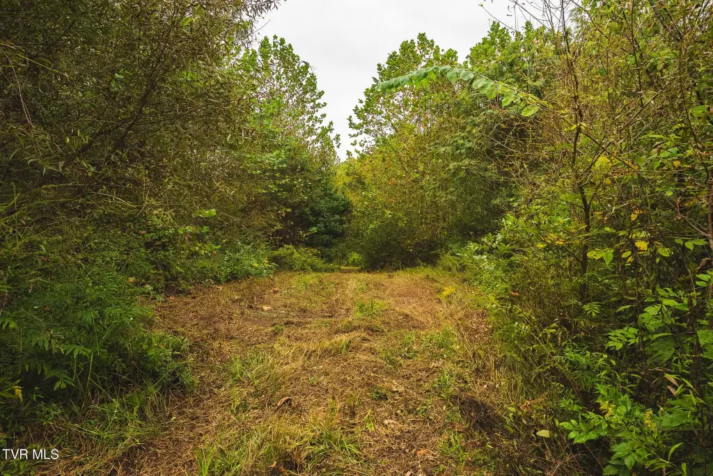Picture 40