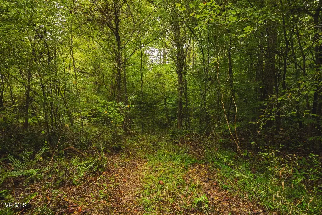 Picture 41
