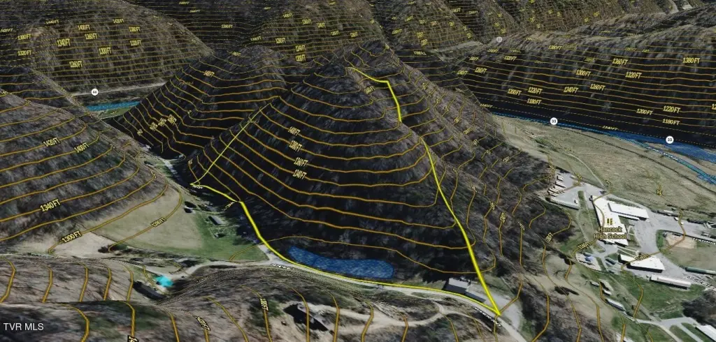 Picture 31