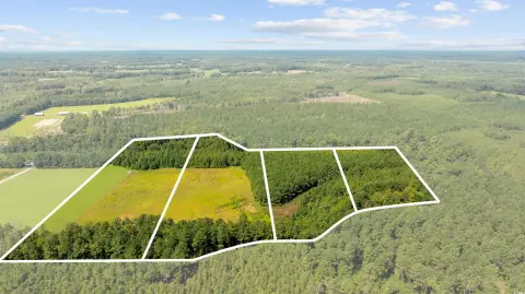Nichols, SC Acreage Opportunity