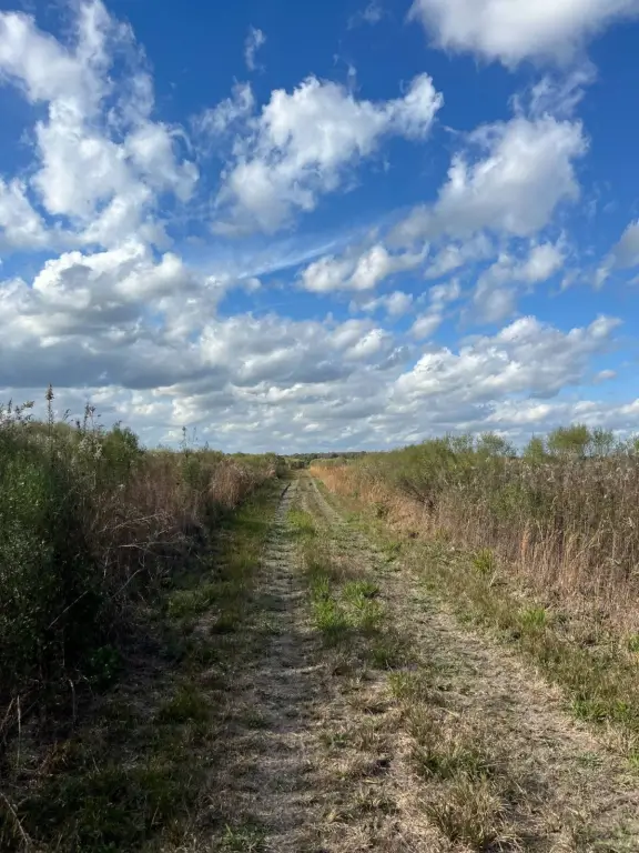 Picture 24