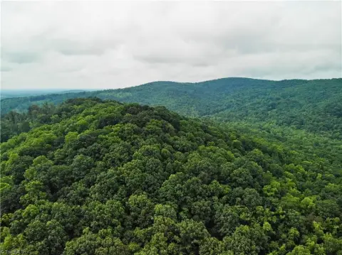 Wilkes County Sportsman's Paradise