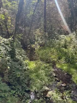 Land Adjacent to BLM Land