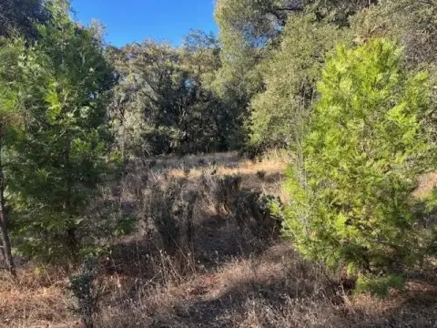Glencoe Land with Mature Trees