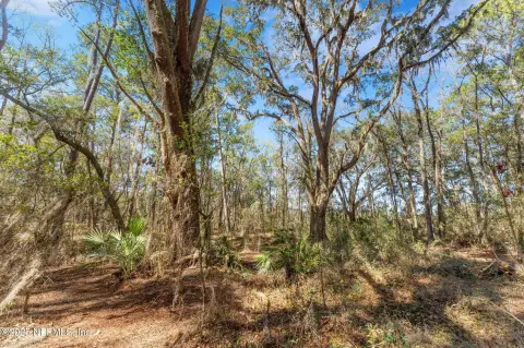 20 Acres of Serene Land