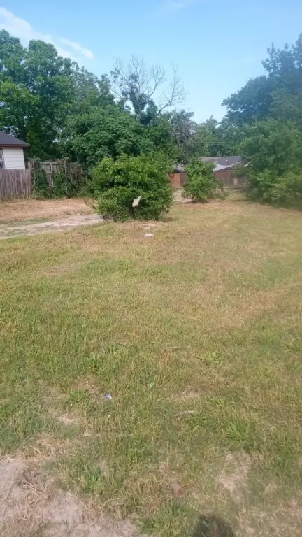 Picture 5