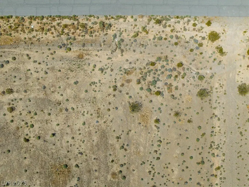 Picture 41