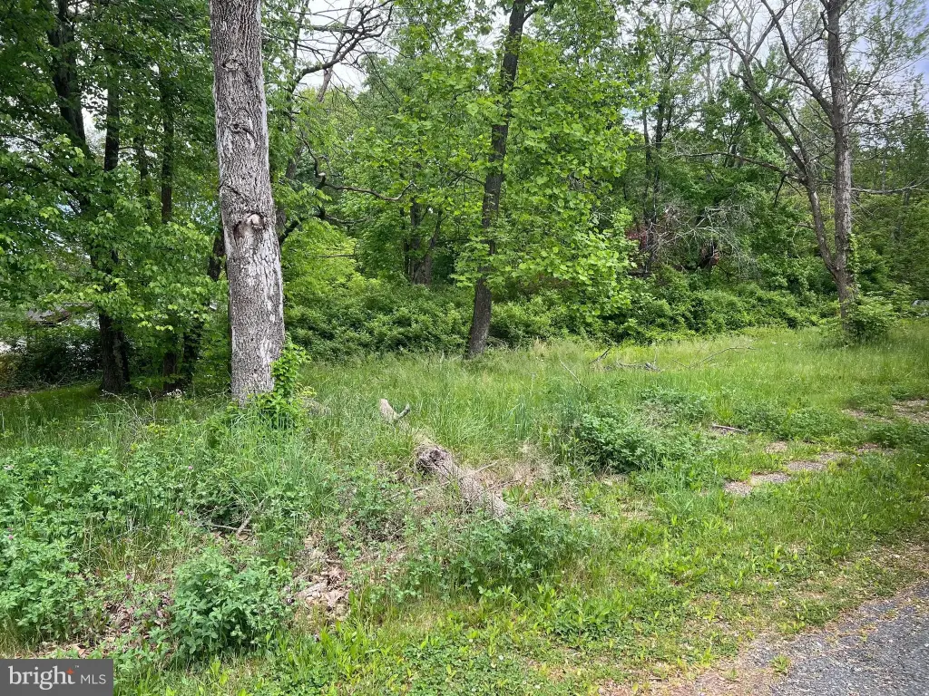 Picture 3