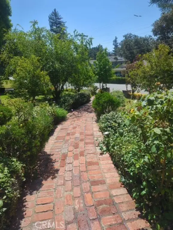 Picture 19