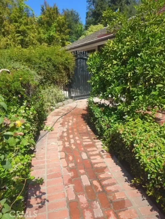 Picture 5