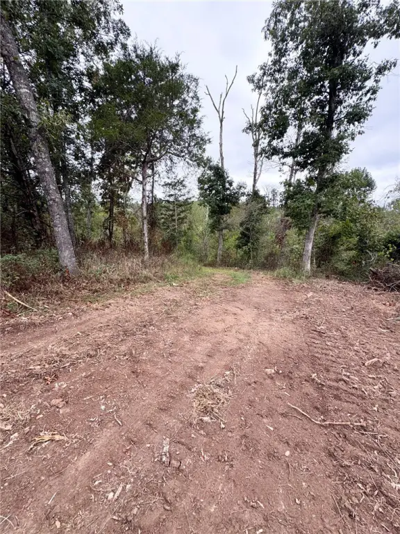 Picture 8