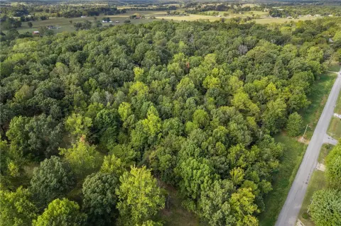 Wooded Land Tract