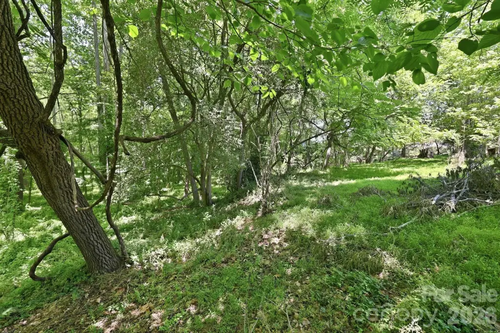Picture 43