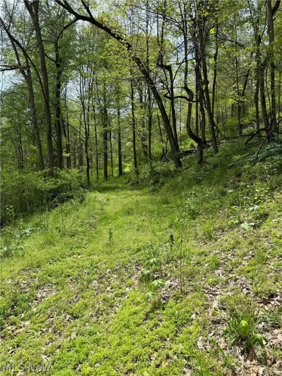 Picture 21
