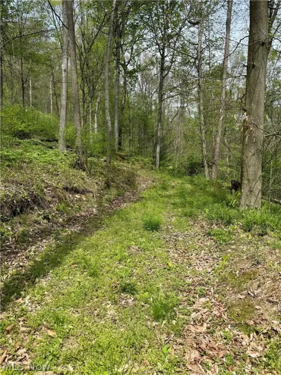 Picture 19