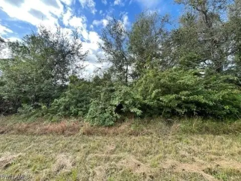 Residential Lot in Lehigh Acres