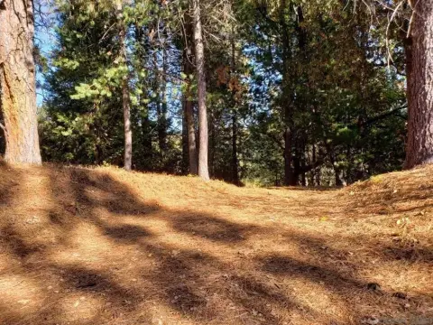 Residential Lot in Golf Community