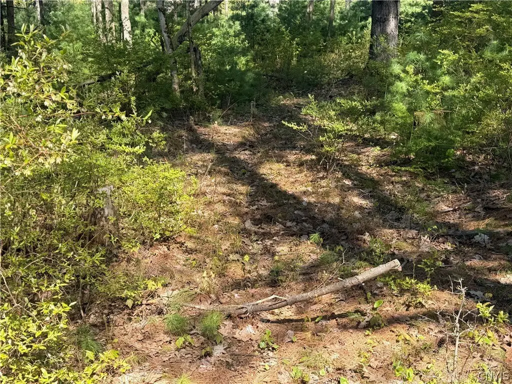 Picture 19